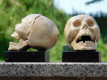 Skull Bookend Set – Cast Iron