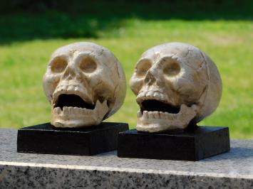 Skull Bookend Set – Cast Iron