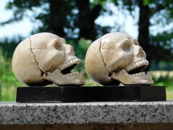Skull Bookend Set – Cast Iron