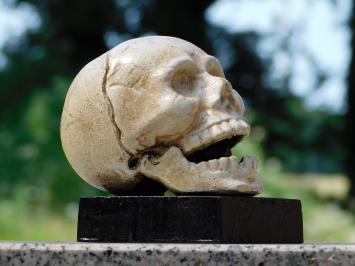 Skull Bookend Set – Cast Iron