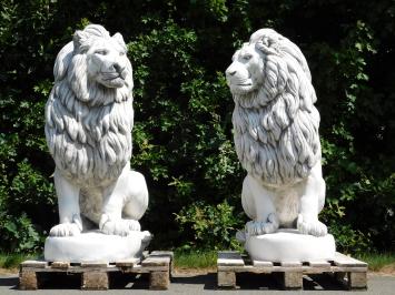 Set Lions XXL - 135 cm - White