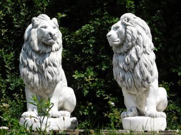 Set Lions XXL - 135 cm - White