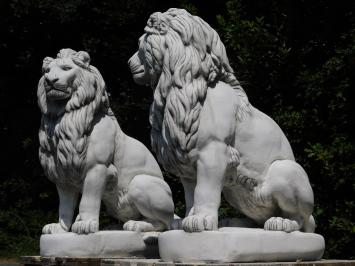Set Lions XXL - 135 cm - White