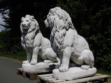Set Lions XXL - 135 cm - White
