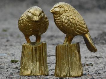 Satz Vögel auf Stamm - gold - alu