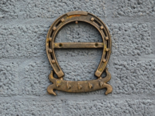 A key coat rack with 5 hooks, like a horseshoe, robust and rustic