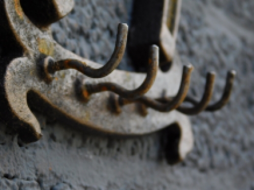 A key coat rack with 5 hooks, like a horseshoe, robust and rustic