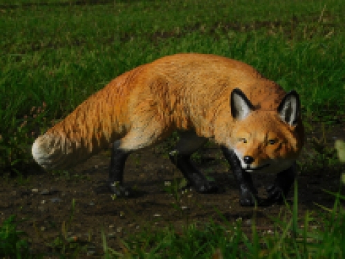 Statue stealthy fox - polystone - detailed