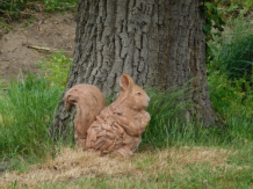 Eichhötnschen XL - Holzoptik - Polystone - wetterfest