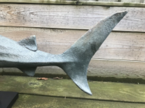 This shark is very special on its stand, beautiful to look at, very decorative!!