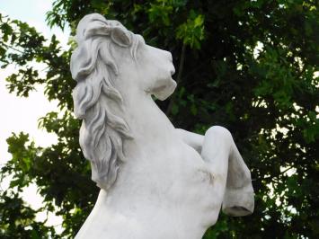 Rearing Horse on Plinth XL - 180 cm - Stone