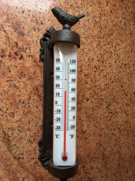 Frame thermometer with bird - cast iron - weatherproof