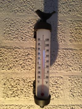 Frame thermometer with bird - cast iron - weatherproof