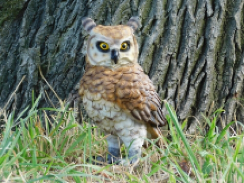 Owl - polystone - detailed