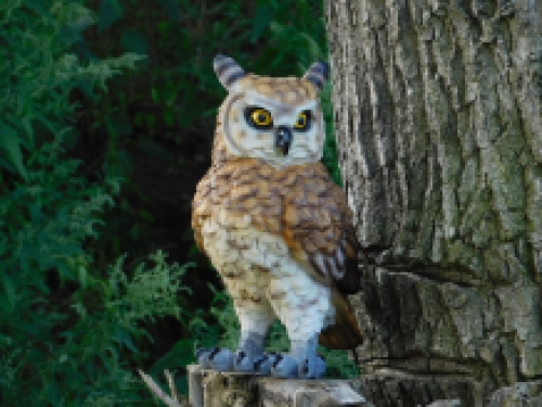 Owl - polystone - detailed