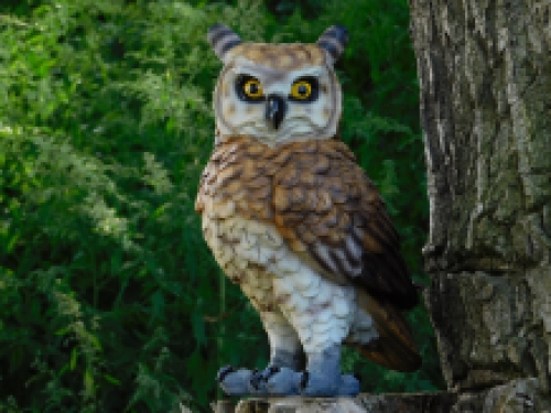 Owl - polystone - detailed