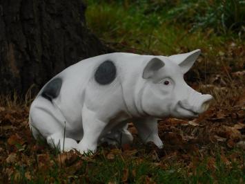 Beeld varken met zwarte vlekken - zwart wit - polystone