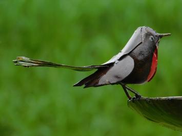 Vogelbad - Zwart met Rode Vogeltjes 2 om 1 - Tuinsteker - Metaal