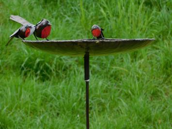 One-off: Bird feeder - bath - 3 Birds Red Black - Handmade