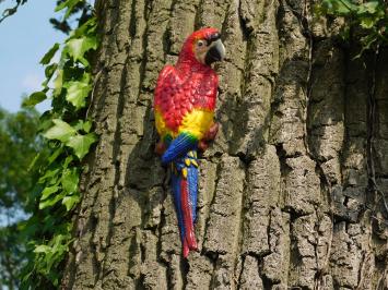 Red Parrot - Cast iron