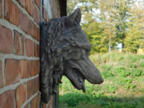 Großer Wolfskopf, sehr schöner Ausdruck, Polystein