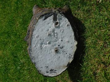 Wolf head with water spout - 45 x 35 cm - Stone
