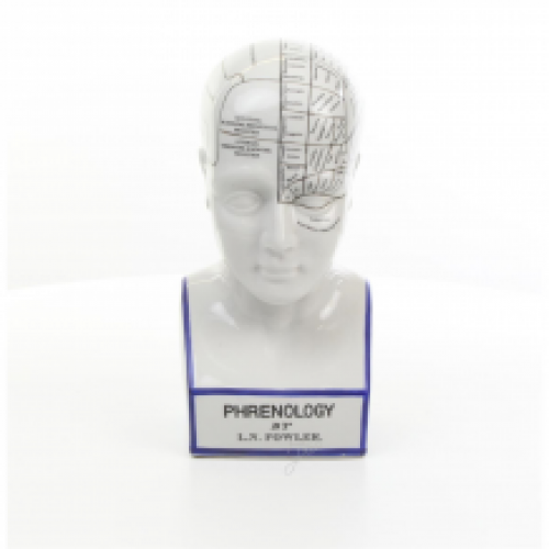 A porcelain phrenology head in blue coloring