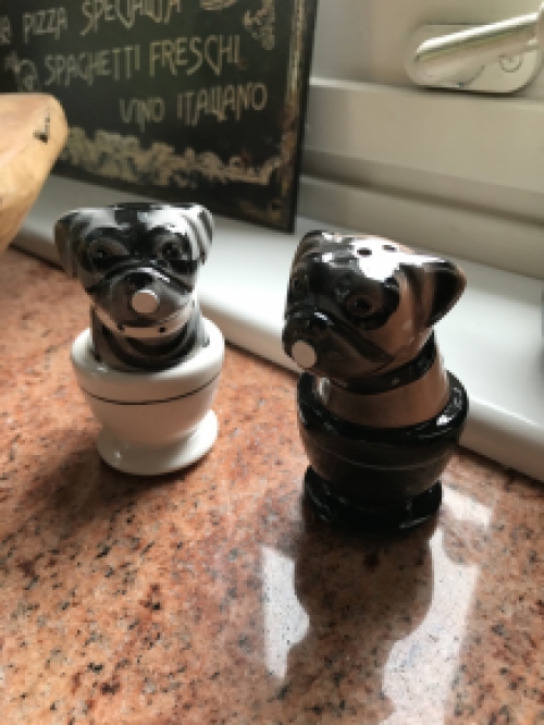 Salt and pepper pots, 2 kissing dogs in cups, very nice!