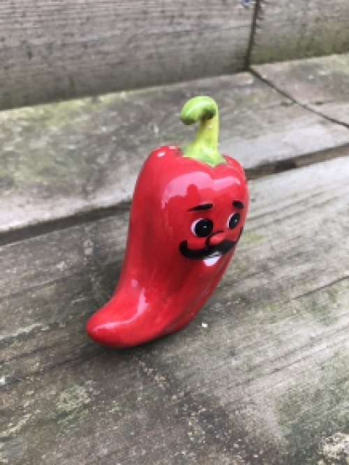 Zout en peper potjes, hot chili peppers, erg leuk!